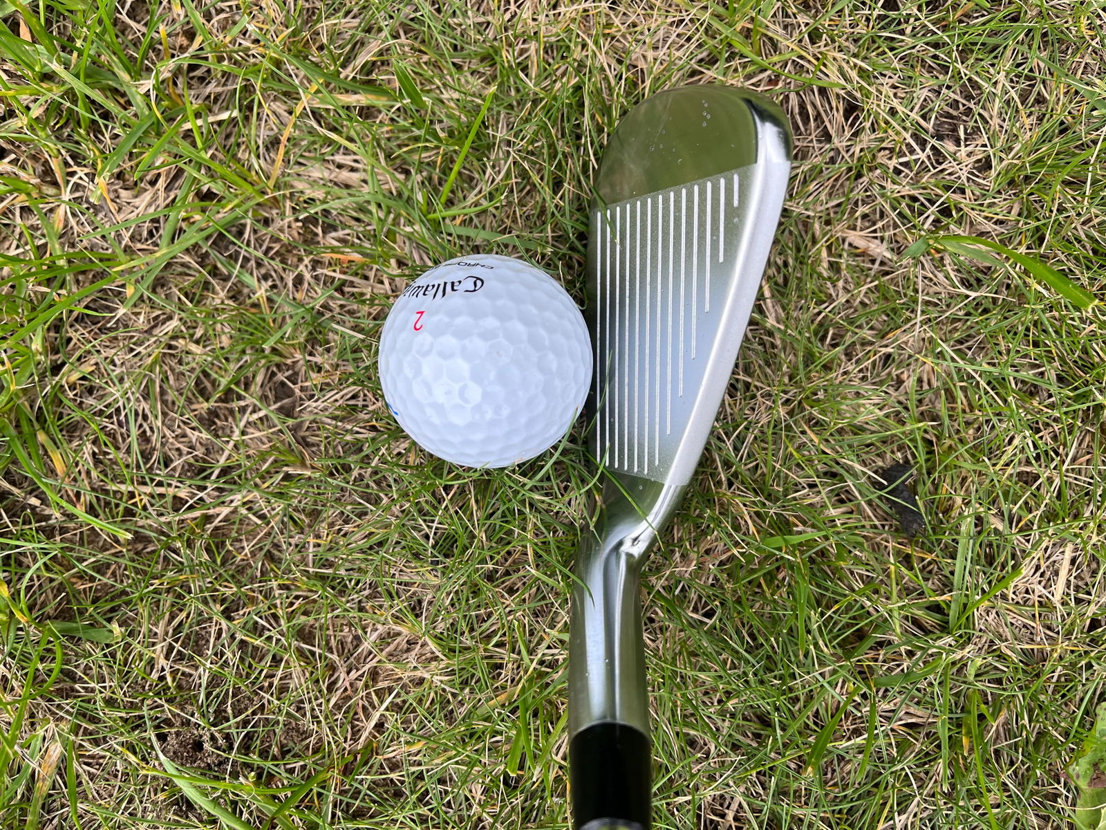 Takomo 301 vs 101 irons Review: 